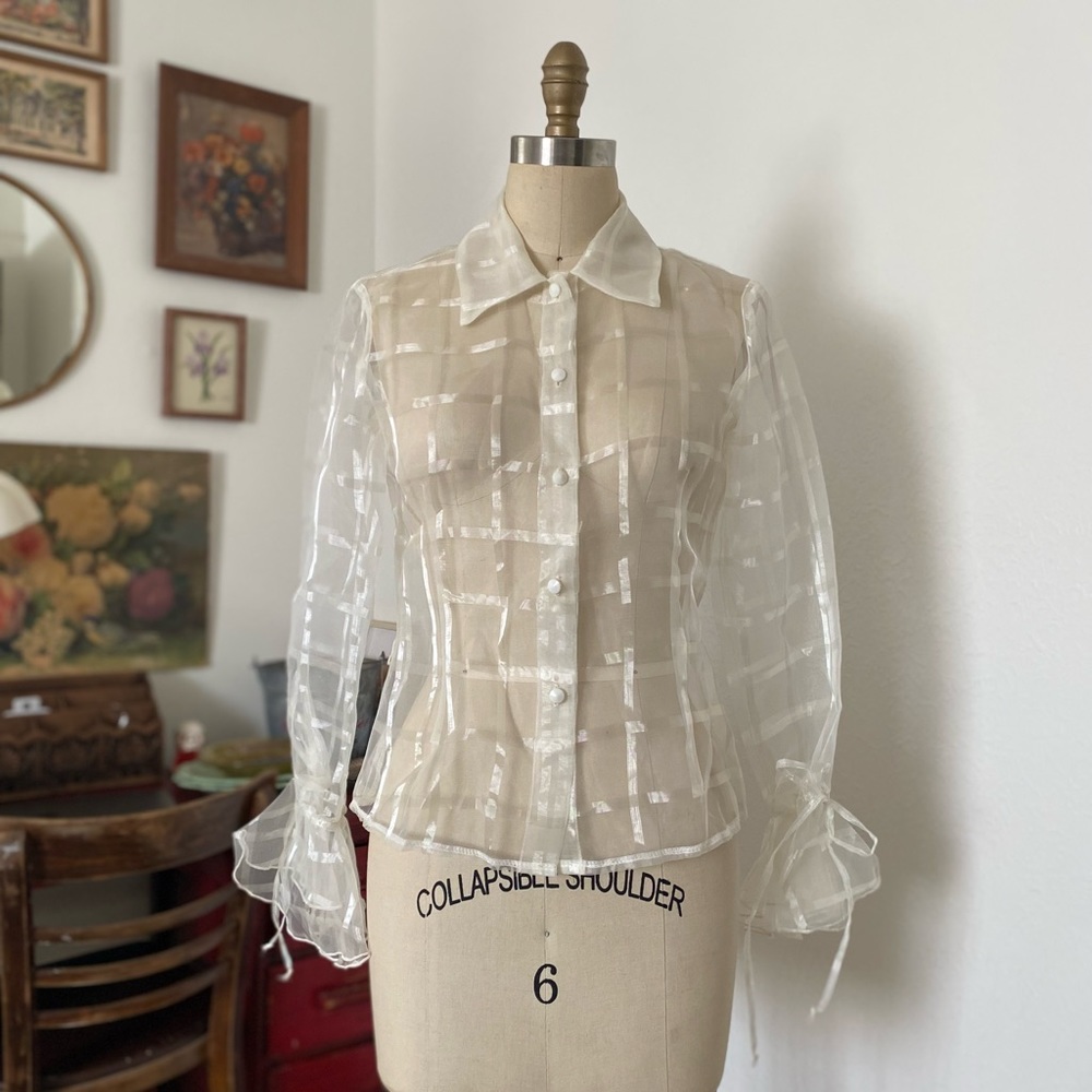 Light academia y2k sheer mesh button down top